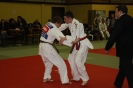Fontesse 2012