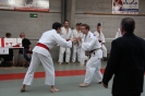 Namur 2012