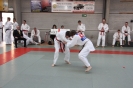 Namur 2012